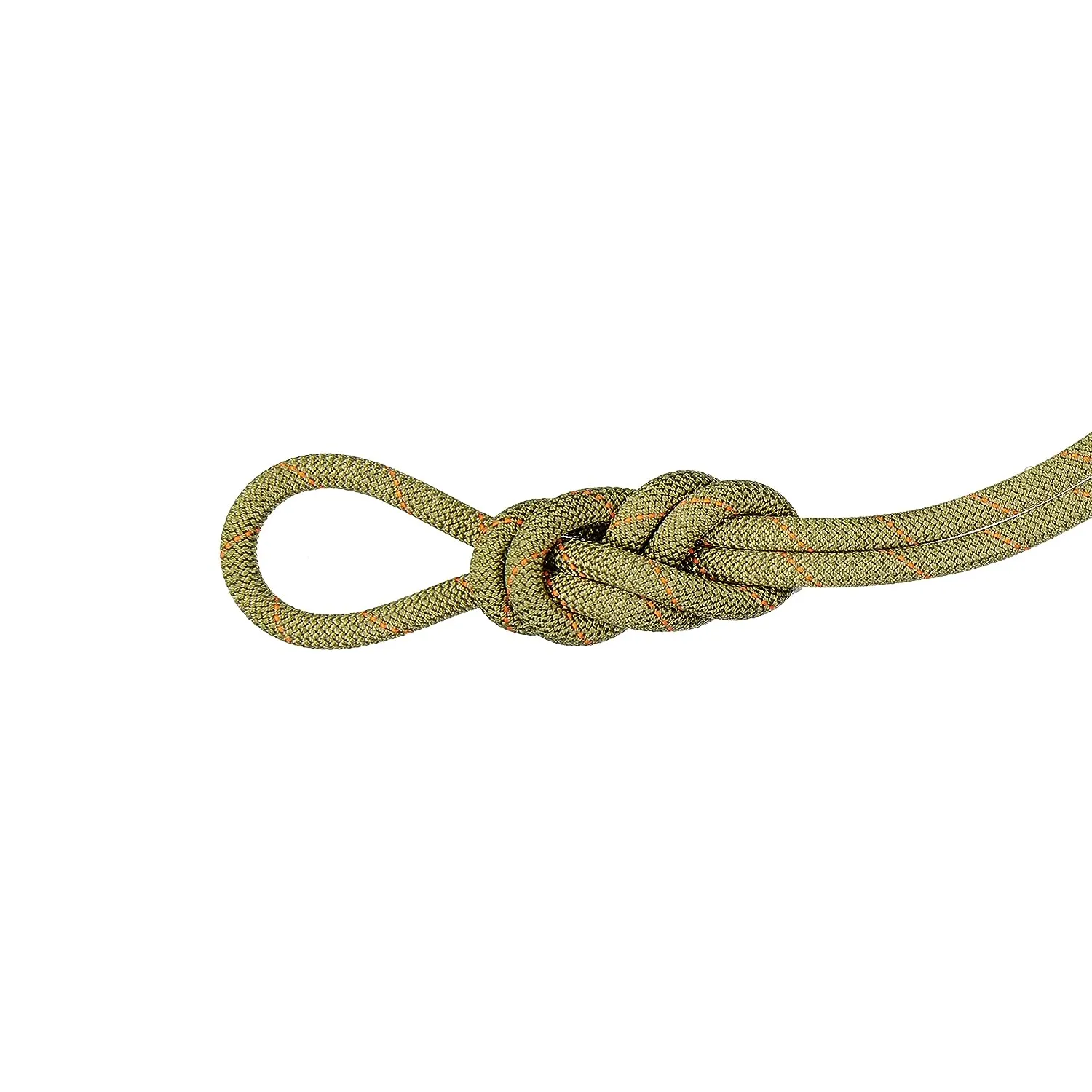 Mammut 9.9 Gym Workhorse Classic Rope