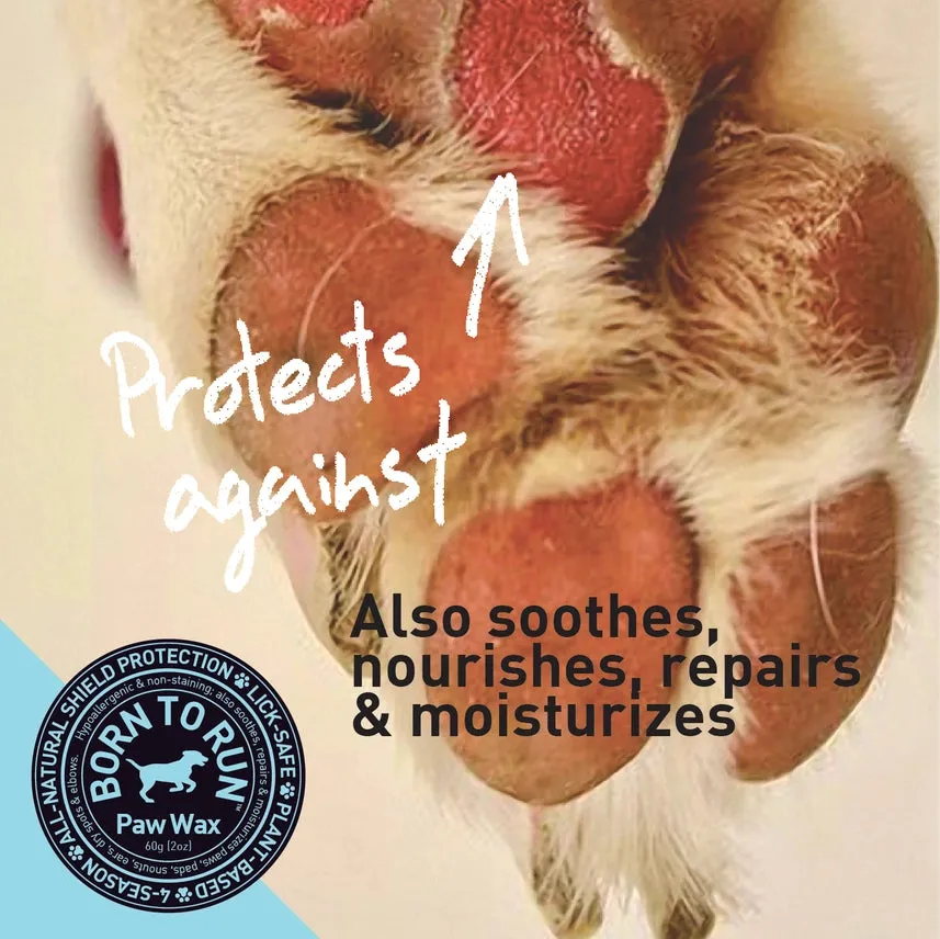 Paw Protection For Maximum Comfort & Security 60g (2oz)