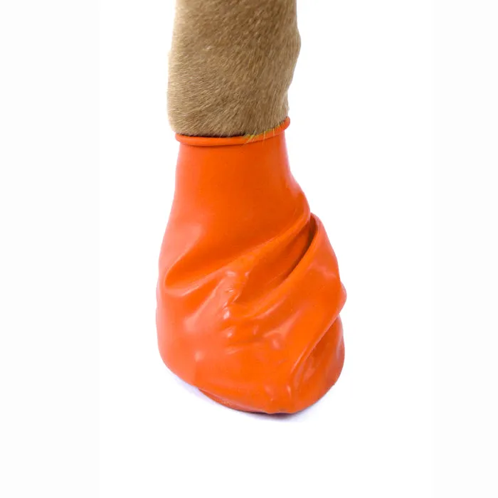 PAWZ Dog Boots