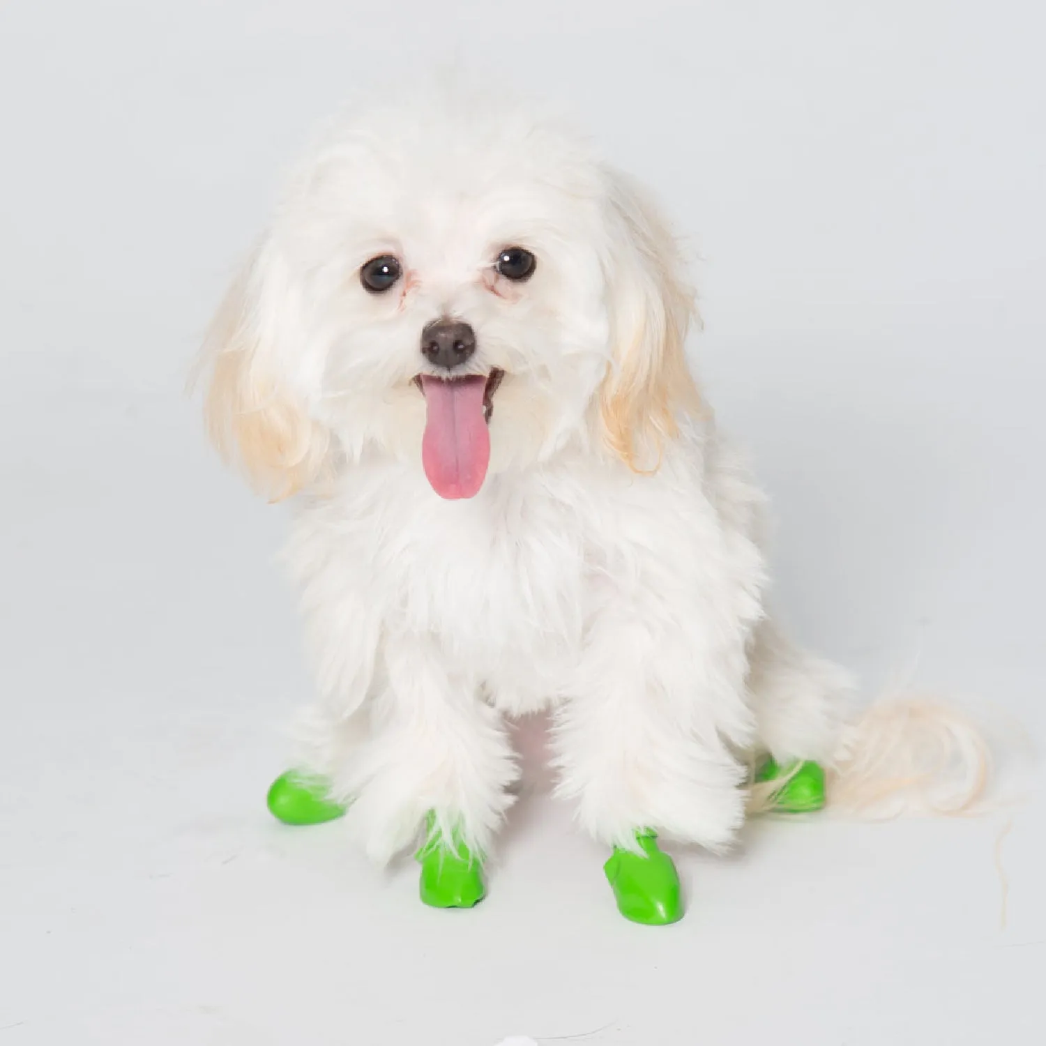 PAWZ Dog Boots