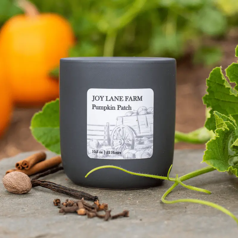Autumn Pumpkin Patch Scented Ceramic Candle 1