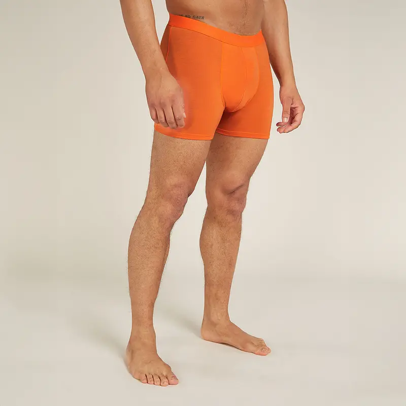 Icebreaker Merino 150 Anatomica Men'S Underwear – Lightweight Boxer Briefs 1