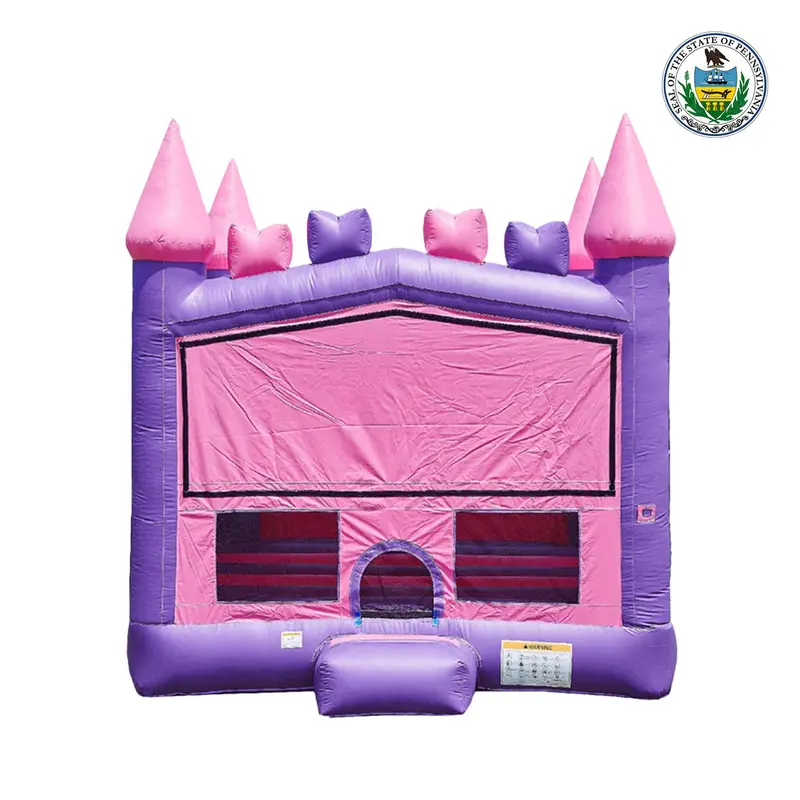 Princess-Themed 13X13 Foot Bounce House 1