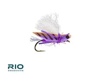 Rio Blade Runner Hopper – 12-Pack High-Visibility Terrestrial 2